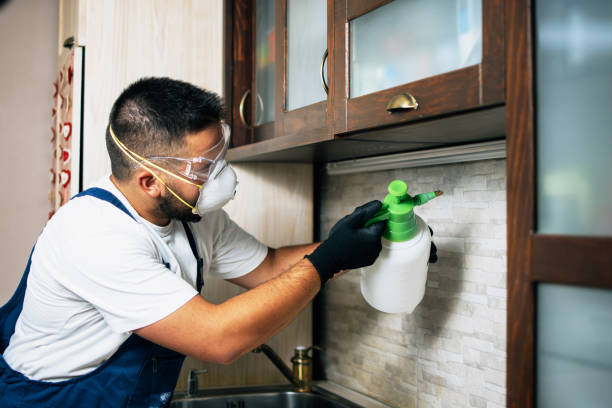Best Best Pest Control Companies  in Haysville, KS