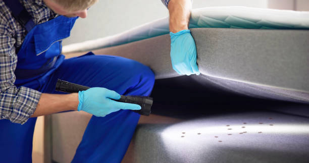 Best Pest Control Near Me  in Haysville, KS